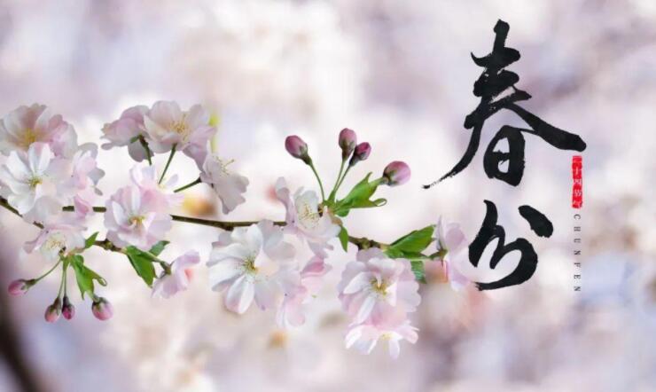 QQ截圖20230321062711.jpg QQ截圖20230321062711.jpg